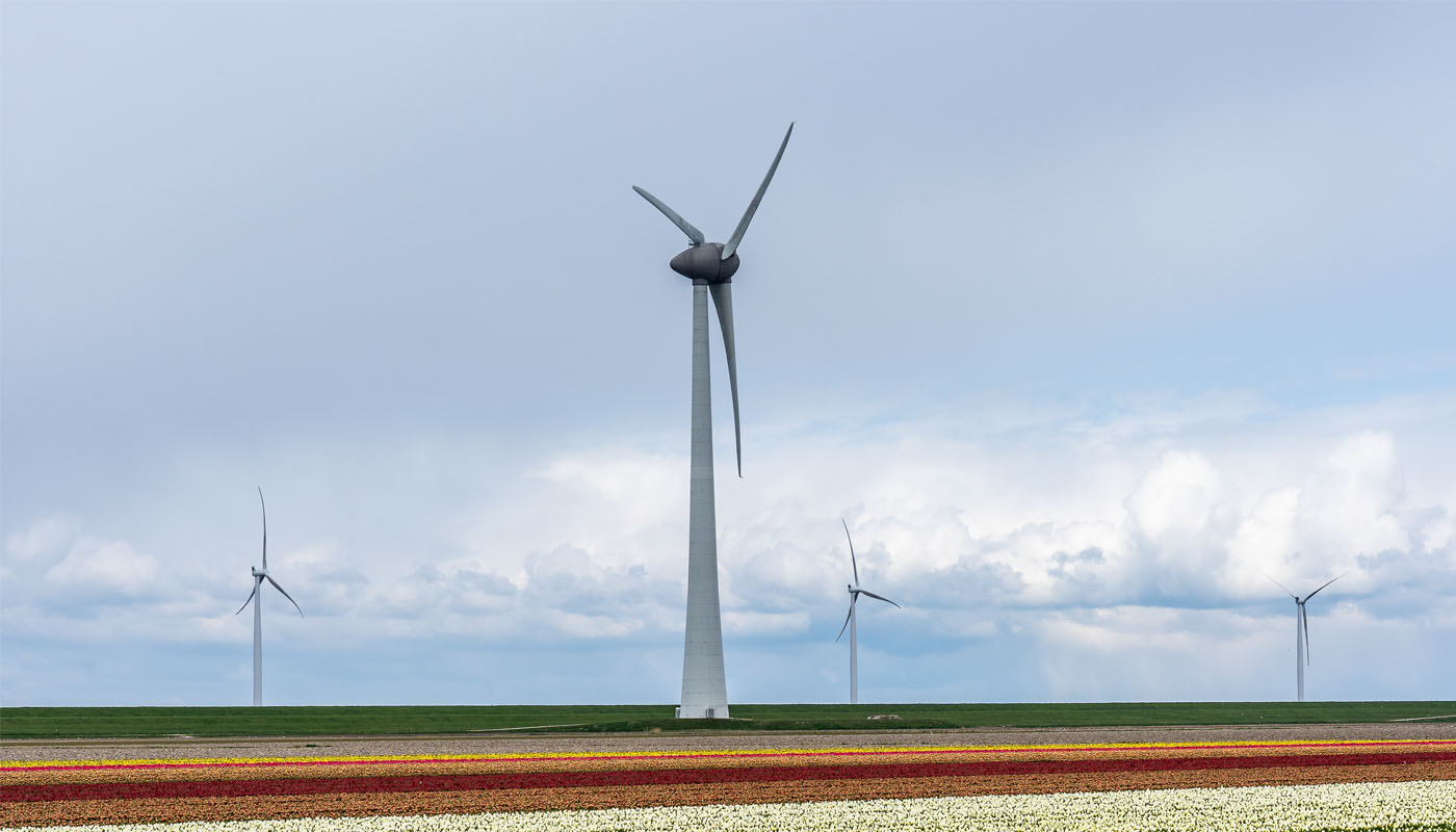 A scenic view of wind turbines in a wind farm located behind a vibrant, colorful field of blooming tulips.